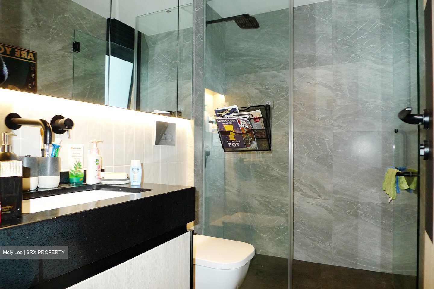 Valley Park (D10), Condominium #511333661